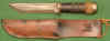Cat2.jpg (45945 bytes)