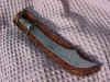 Crozier_7.jpg (116985 bytes)