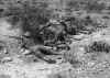 M1905 Early.jpg (78885 bytes)