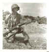 M1905_Guard.jpg (192544 bytes)