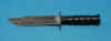 MSI_1.jpg (41991 bytes)