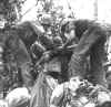 Marine_M3.JPG (80189 bytes)