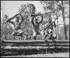 Marine_Training_43.gif (132864 bytes)