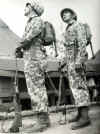 Marines in New Caledonia 1943.jpg (30800 bytes)