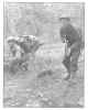 Merrills2.jpg.JPG (87001 bytes)