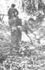 Merrills3.jpg.JPG (91916 bytes)