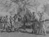 Navy_Cuba_1906b.JPG (106218 bytes)