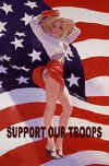 Support_Troops.jpg (19076 bytes)