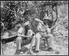 USMC_Coconut.gif (125410 bytes)