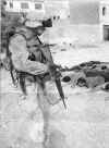 USMC Guard.JPG (758770 bytes)