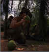 Viet_Coconut.JPG (121971 bytes)