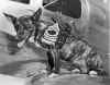 WWII AAF Mascot.jpg (42281 bytes)