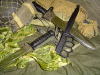 all3_sheaths.gif (70803 bytes)