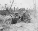 ww240.jpg (148993 bytes)